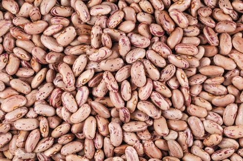Organic Kidney Beans
