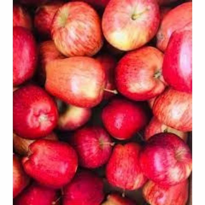 Kashmiri Apple