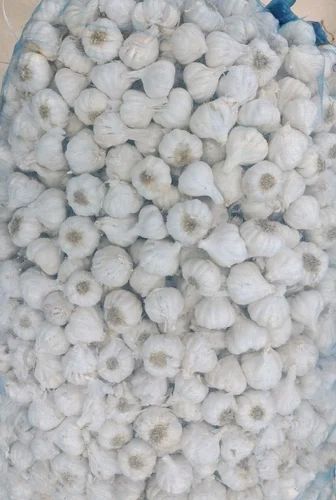 White Organic Garlic