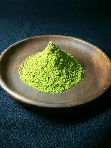 Green Drumstick Leaf Powder