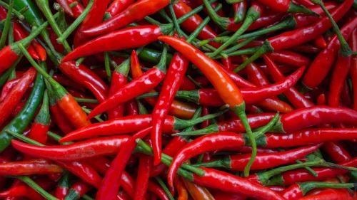 Red Capsaicin, Packaging Size: 1kg