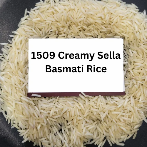 1509 Creamy Sella Basmati Rice