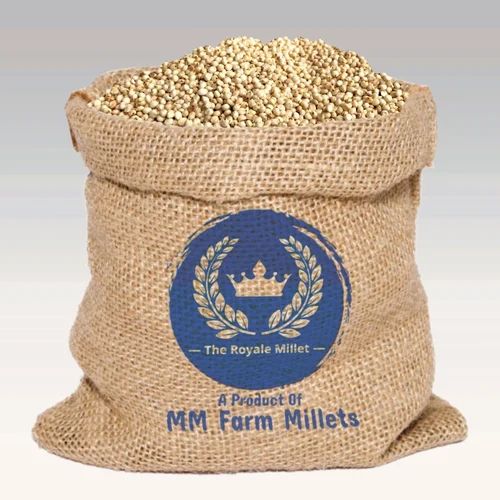 White Sorghum, Grain