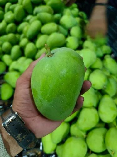 Banganapalli Fresh Mangoes