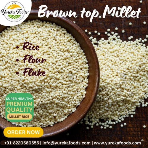 Yureka Yellow Organic Browntop Millet Rice, High in Protein