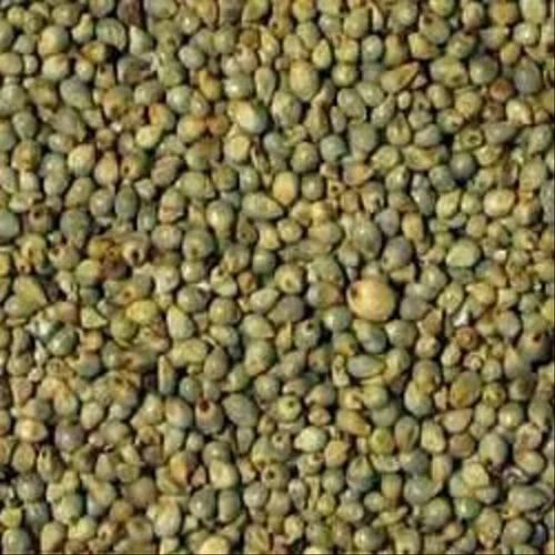 Grain (Dana) Whole Bajra, Grade: Food Grade