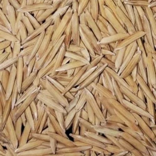 30 Number Traditional Basmati Paddy