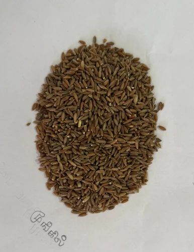 Greenish Brown Bamboo Rice, Packaging Type: Loose, 10 kg