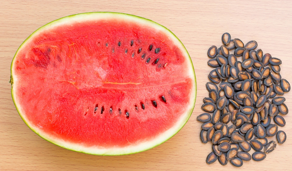 Watermelon Seed
