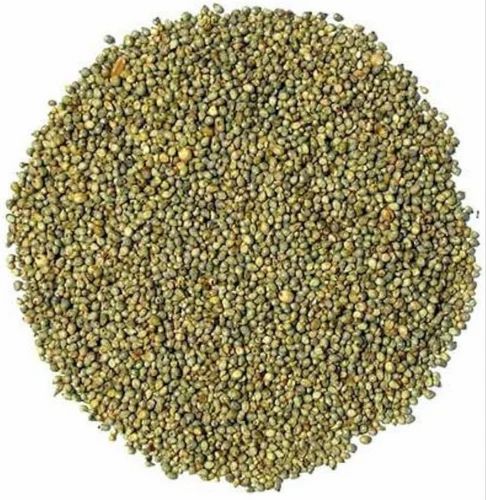 Grain (Dana) Pearl Millet Seeds, Grade: Food Grade