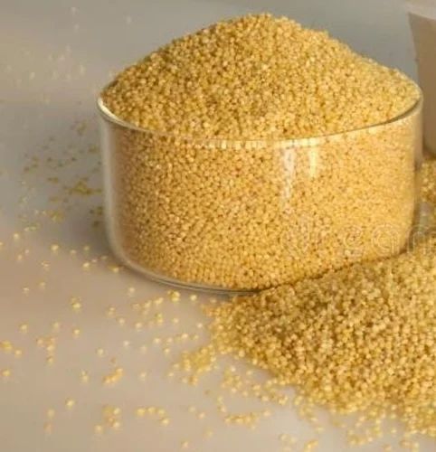 Yellow Millet, For Human Consumption