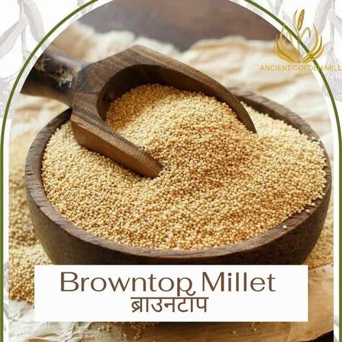 Browntop Millet Rice