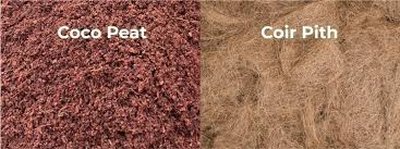 Coir Pith