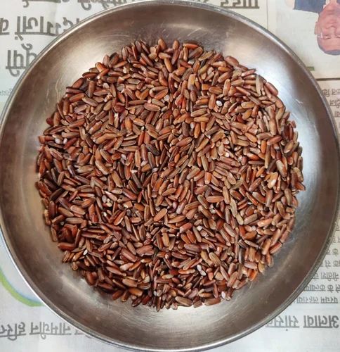 Aquatic Rice
