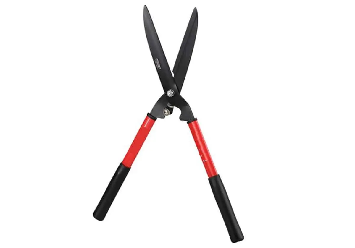 Hedge Shears