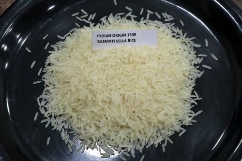 1509 Sella Basmati Rice, 25 Kg