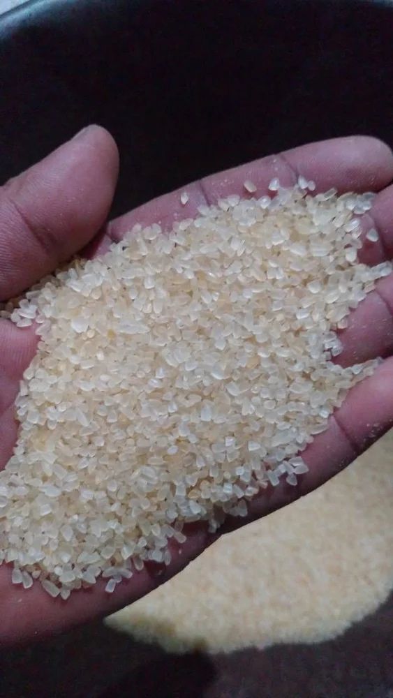Indian Non Basmati Rice