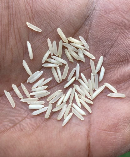 1401 Steam Basmati Rice