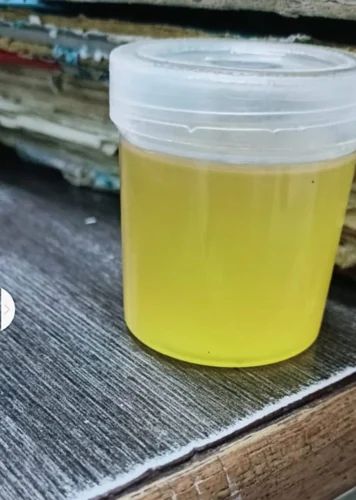 200 L Tallow Oil