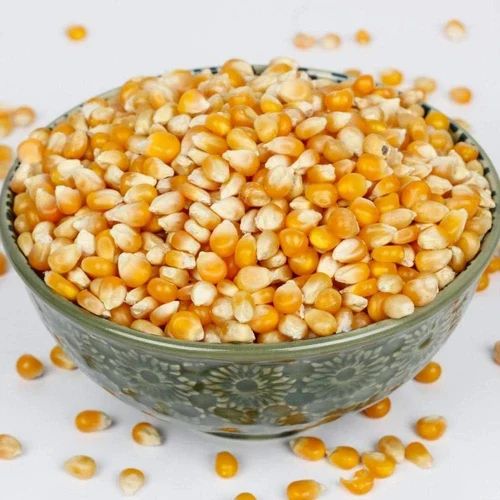 Natural Yellow Pop Corn Seed