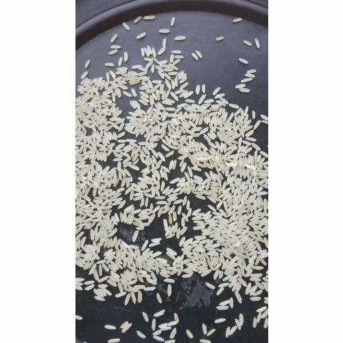Miniket Maharashtra Rice, 50Kg, Packaging Type: Jute Bag