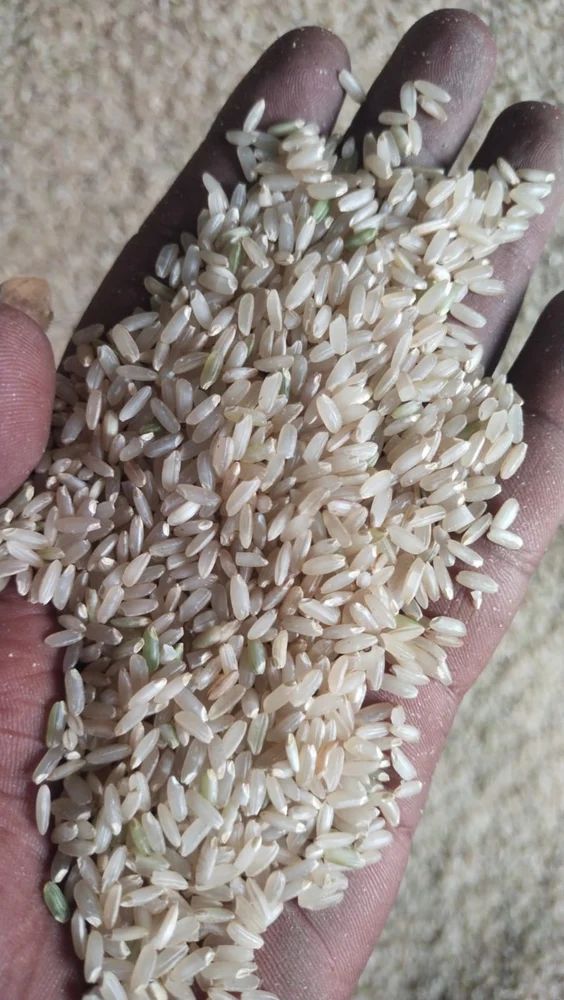 Sticky Rice