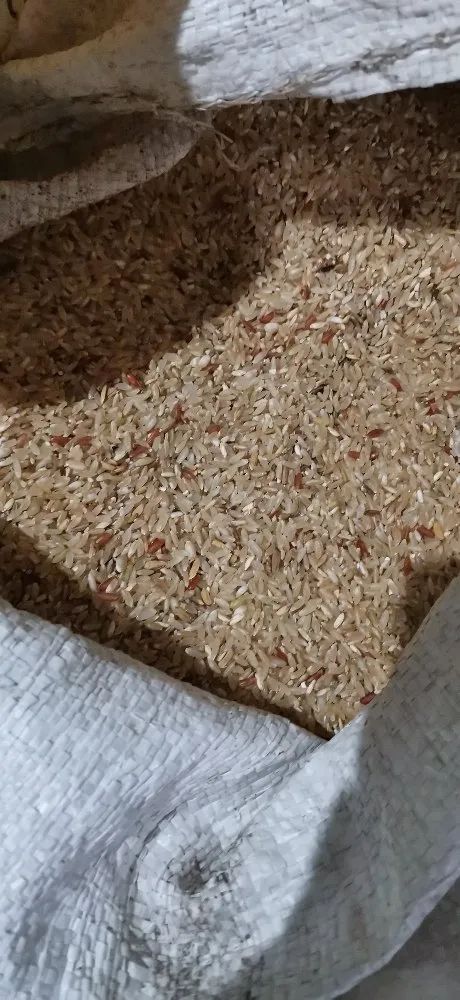 Kon Joha Rice(Aromatic)