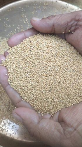 50kg Yellow Millet, For Bird Feed