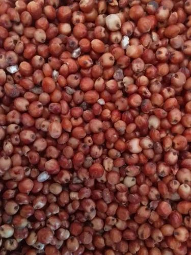 Red Organic Sorghum, Grain