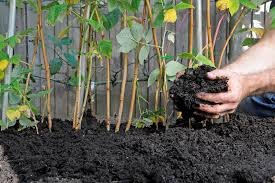 Garden Manure