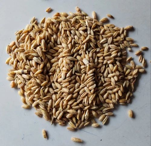 Barley Whole Grain