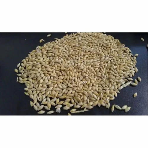 Esskay Bearlee Raw Barley, High in Protein