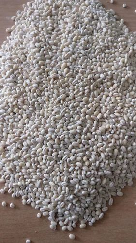 Pearl Barley Regular, For Human Consumption