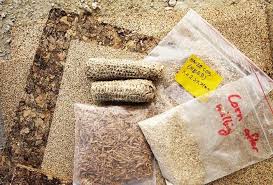 Maize Bran