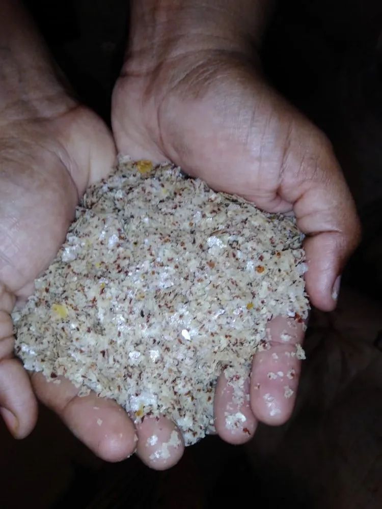 Groundnut Seed Powder, 50 Kg