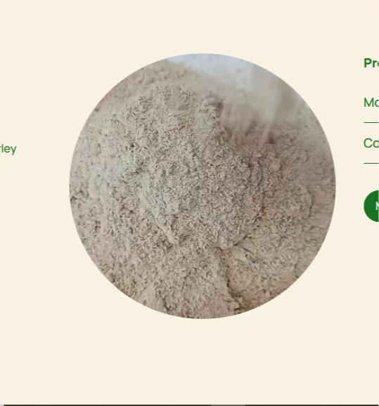 Barley Malt Flour
