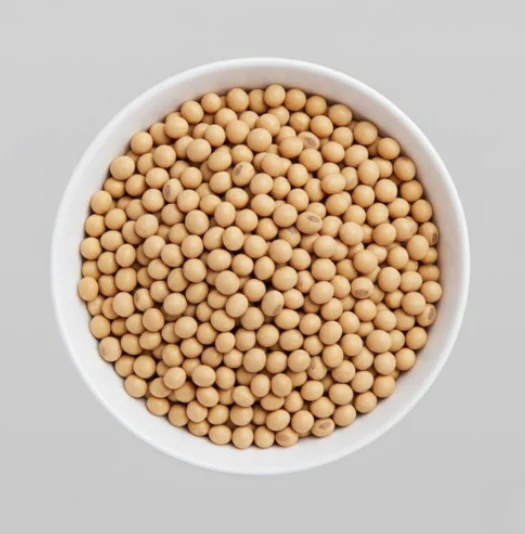 SoyaBean, Whole Beans