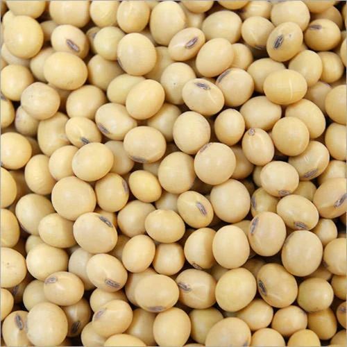 Yellow Tofu Soybean