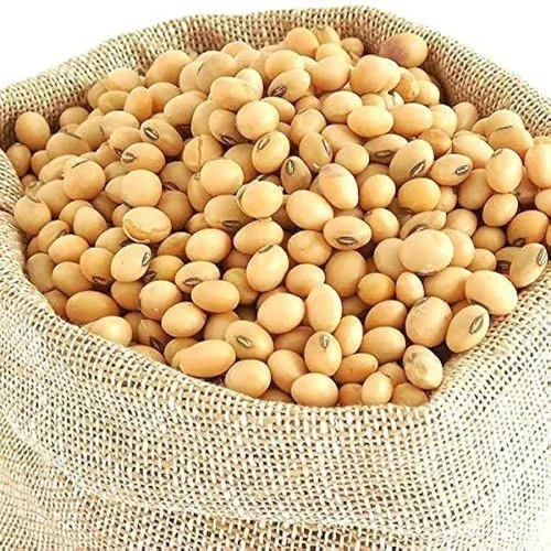 Yellow Raw Soybean