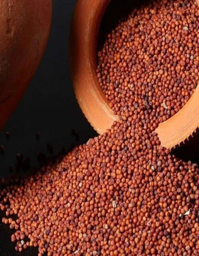 Ragi