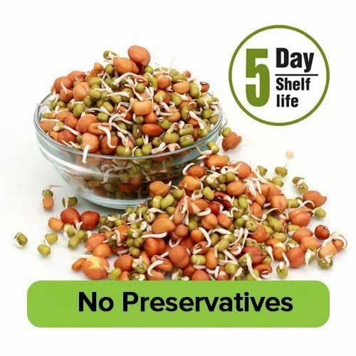 Chana Sprout
