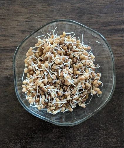 Mataki Sprouts Moth Beans, High in Protein