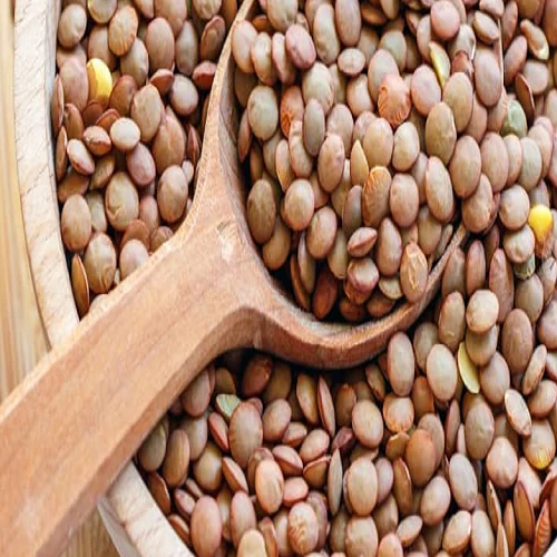 Green Lentil