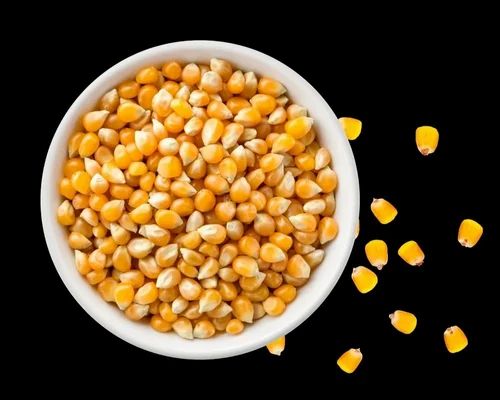 15% Moisture Natural Yellow Maize Corn, For Human Consumption