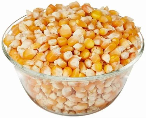 14% Moisture Natural Yellow Corn Maize, For Animal Feed