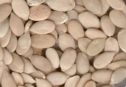 Watermelon kernel Seeds