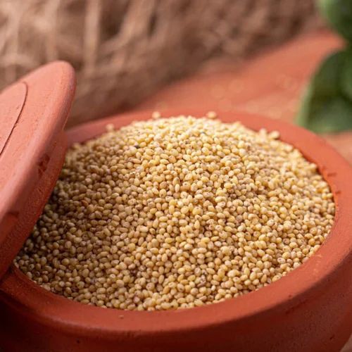Light Brown 99% Natural Foxtail Millet, Whole Grains