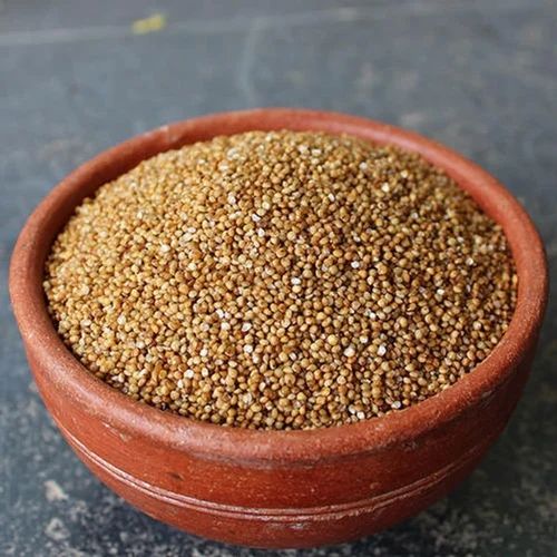 Indian 99% Organic Foxtail Millet
