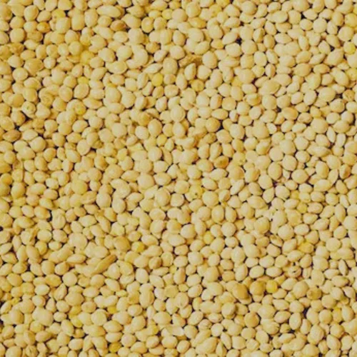 Browntop Millet Seeds