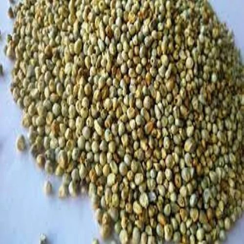 Natural Green Millet